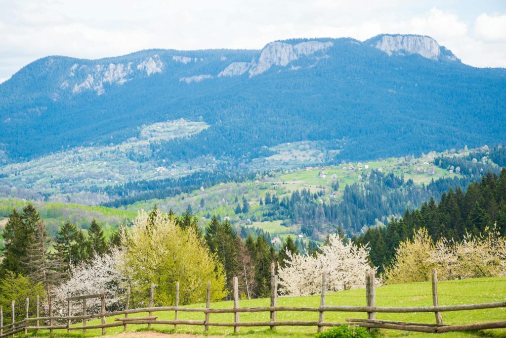 Navigating the Loan Landscape in Bosnia and Herzegovina: Top Banks and Application Tips - Como solicitar empréstimo na Bosnia Herzegovina