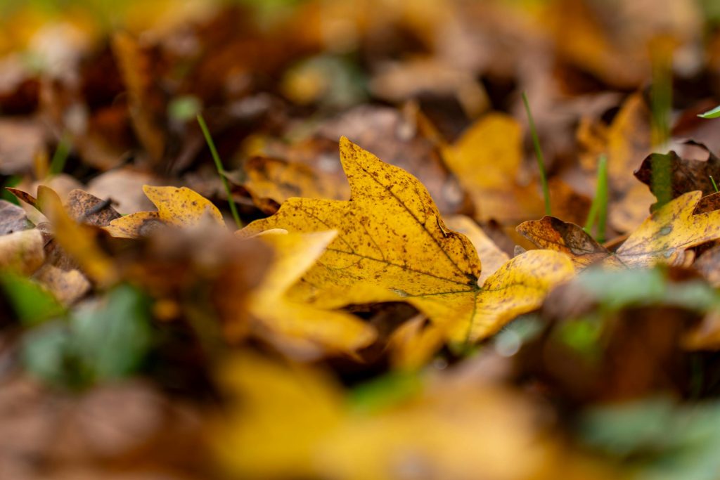 Understanding the Loan Application Process in Croatia: Tips from Wustenrot and Hrvatska Poštanska Banka - Como solicitar empréstimo na croacia