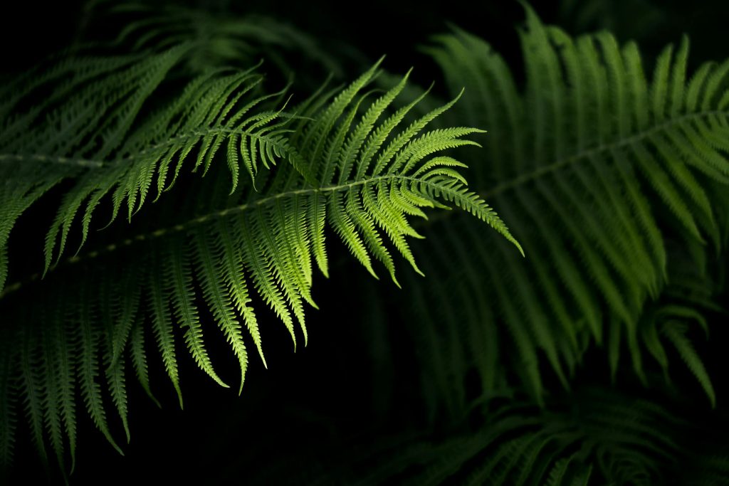 A Deep Dive into Slovak Lending: Choosing the Right Loan from 365.bank, mBank, and Beyond - Como solicitar empréstimo na eslovaquia