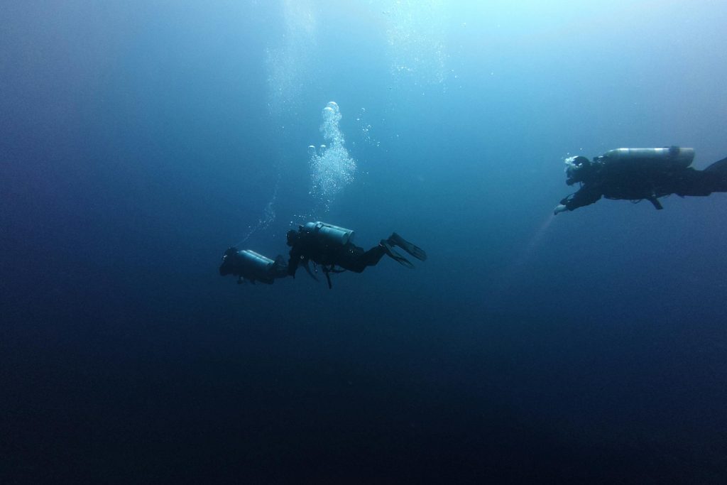 Microfinance Opportunities in Bulgaria: A Deep Dive into SIS Credit and Other Innovative Solutions - como conseguir empréstimo na Bulgaria