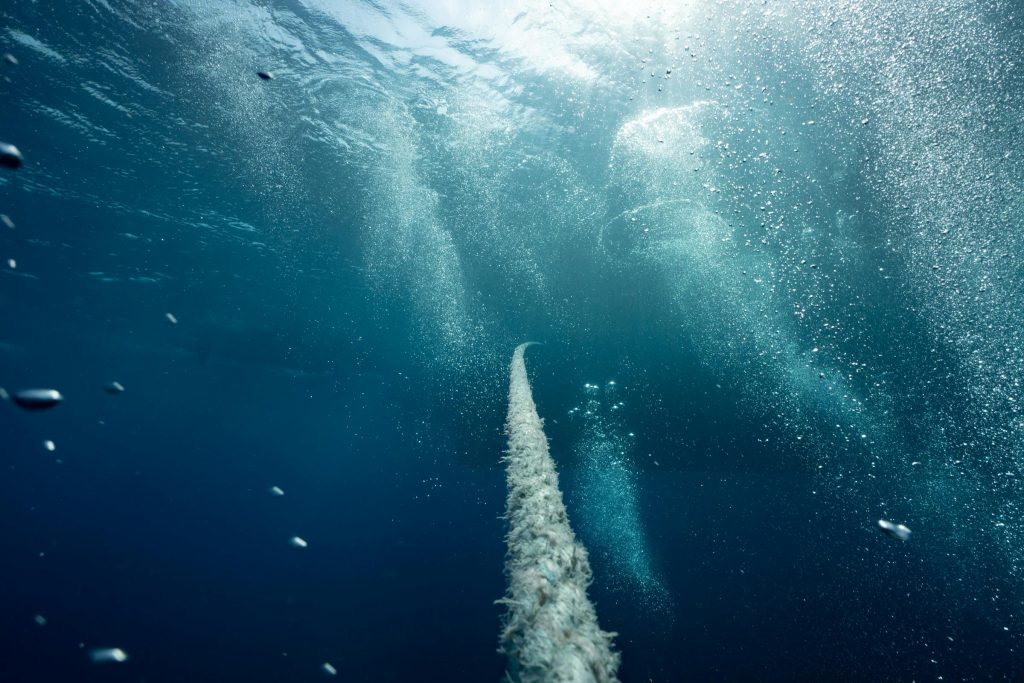 Unveiling the Highest Paying Companies in Poland: A Deep Dive into Salaries and Opportunities - Empresas Que tem o maior salario na Polônia