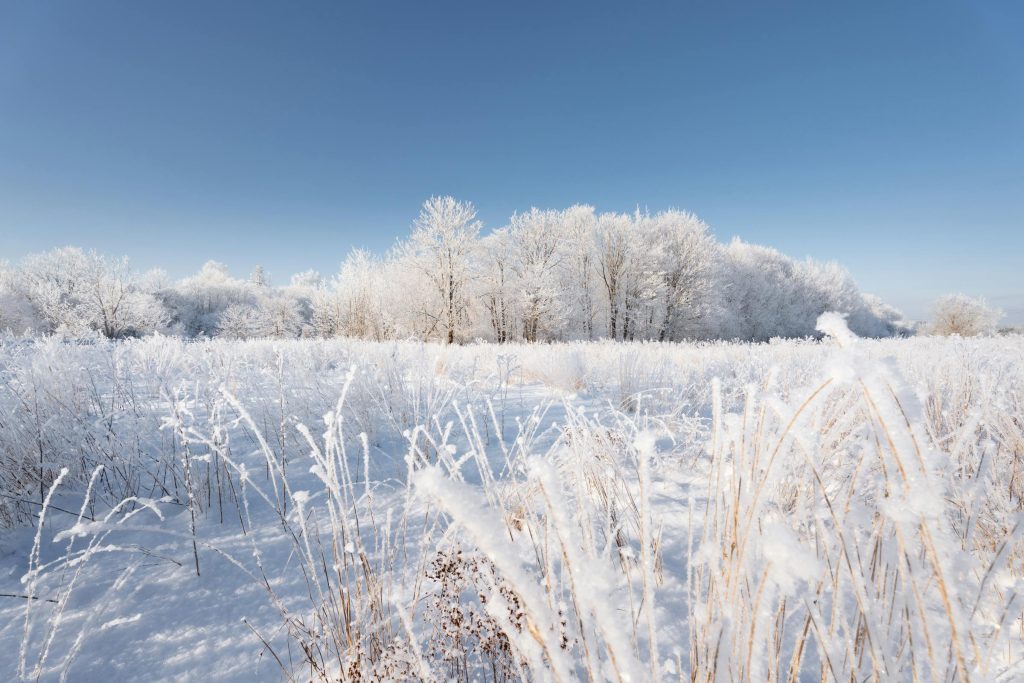 Exploring Job Opportunities and Salary Insights in Estonias Key Industries: From Eesti Energia to Tallinna Linnavalitsus - Empregos Operacionais e Indústria, Salários na Estônia